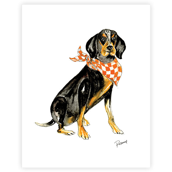 Coonhound Art Print