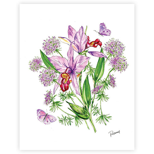 Lavender Botanical Art Print I