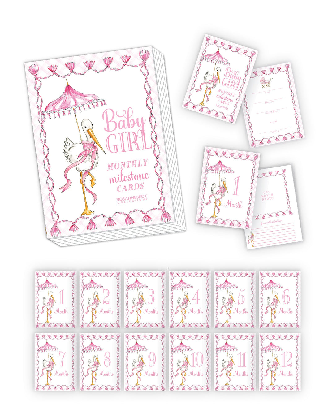 Hand Painted Baby Girl Stork Milestone Cards