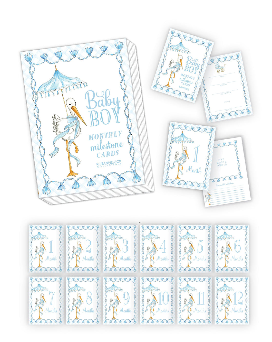 Hand Painted Baby Boy Stork Milestone Cards