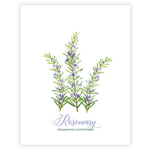 Rosemary Art Print – RosanneBECK Collections
