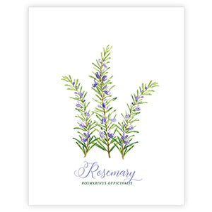 Rosemary Art Print